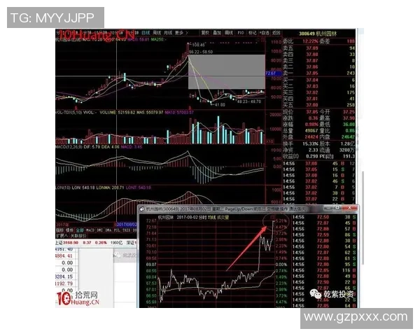 深圳与杭州篮球队的速度较量赛后复盘分析与总结